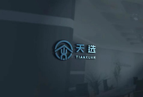 南京天選建筑工程有限公司/南京膜結(jié)構(gòu)停車(chē)棚公司